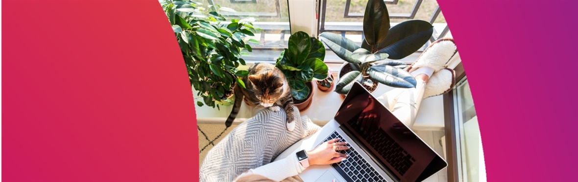 Person at home using laptop with cat nearby